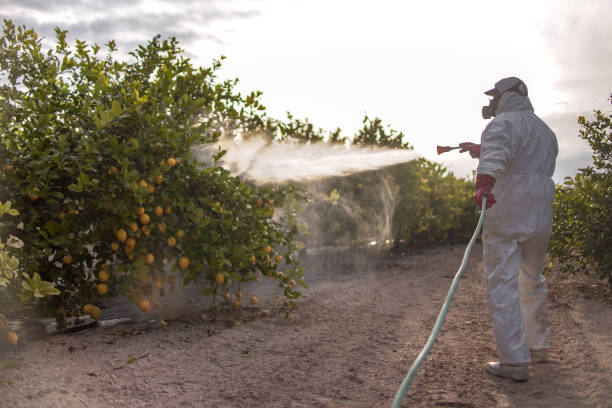 Best Commercial Pest Control Services  in Exander City, AL