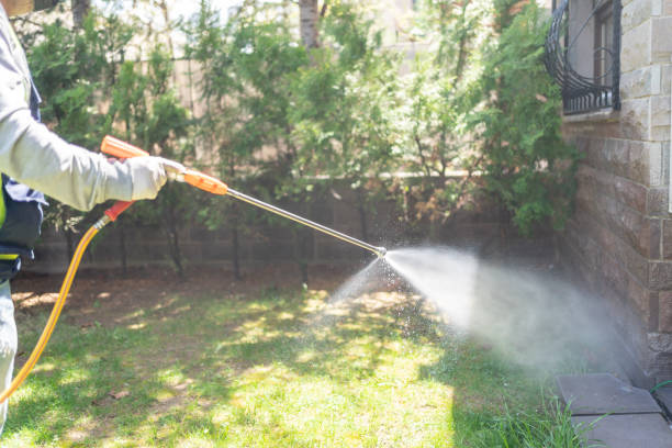Best Local Pest Control Services  in Exander City, AL