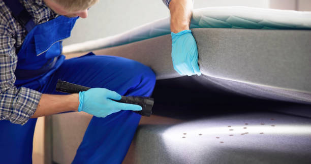 Best Emergency Pest Control  in Exander City, AL