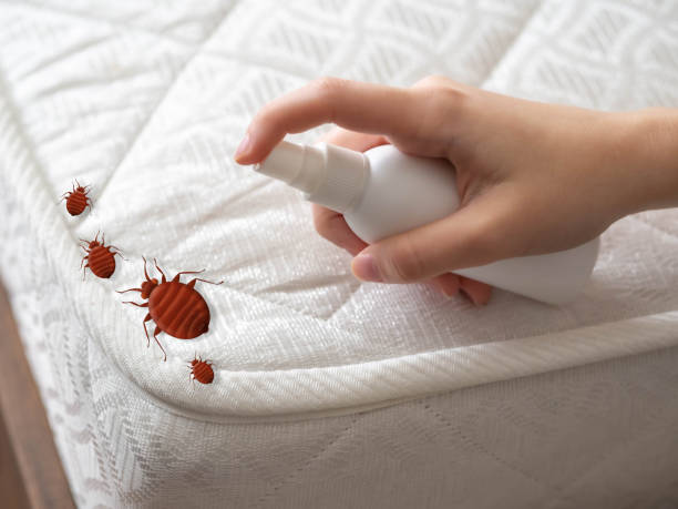 Best Pest Removal Services  in Exander City, AL