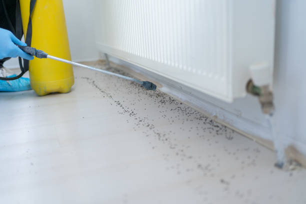 Best Affordable Pest Control Services  in Exander City, AL