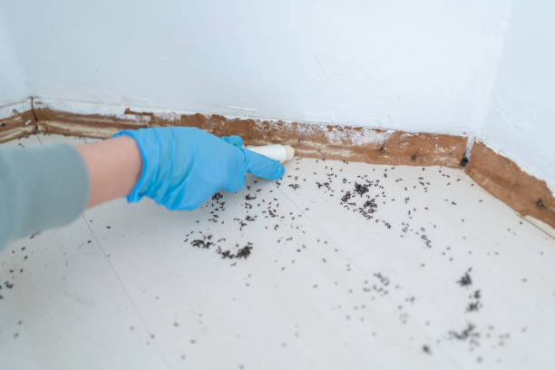  Exander City, AL Pest Control Pros